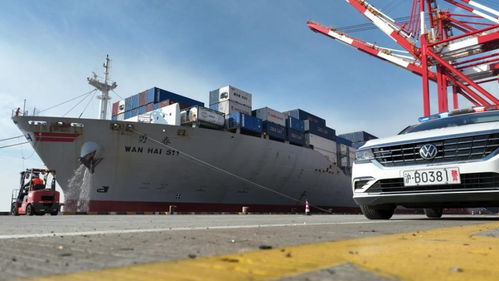 春節(jié)臨近，上海邊檢助力民生物資快速抵滬，保障國(guó)際船舶管理業(yè)務(wù)高效運(yùn)轉(zhuǎn)