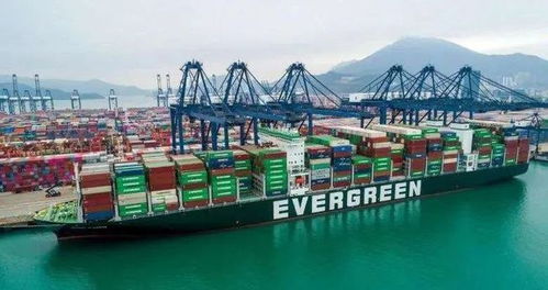 美團(tuán)進(jìn)軍公路貨運(yùn)市場(chǎng)，快遞企業(yè)雙十一戰(zhàn)報(bào)亮眼